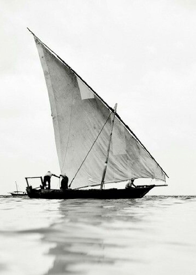Vela latina 1